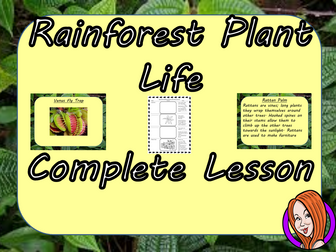 Identifying Rainforest Plant Life  -  Complete STEAM Lesson