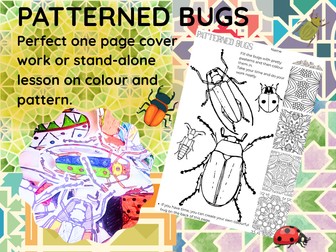 Patterned bugs -one lesson art activity