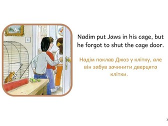 English-Ukrainian Oxford Reading Tree: Read at Home: Level 3a: Missing!
