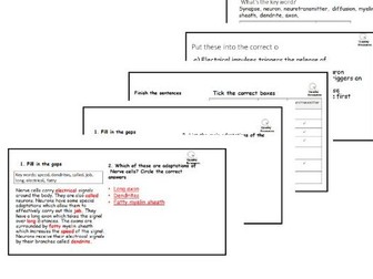 GCSE Differentiated Worksheets: Nerves, Synapses, and Neurotransmitters