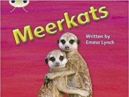 Bug Club comprehension sheets (Sunflowers, Boring boring & Meerkats)