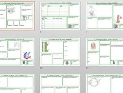 cambridge cie igcse biology revision worksheets teaching resources