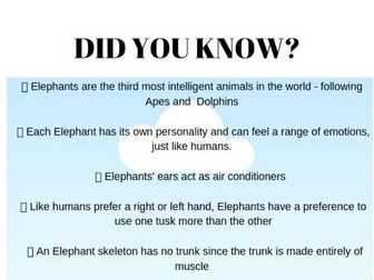 Cool Facts about Elephants