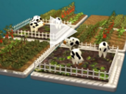 Flipside Science: What is the Environmental Impact of Feeding the World?