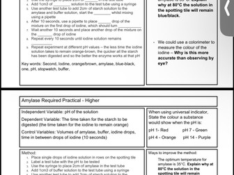 Complete collection of my required practical revision sheets with answers