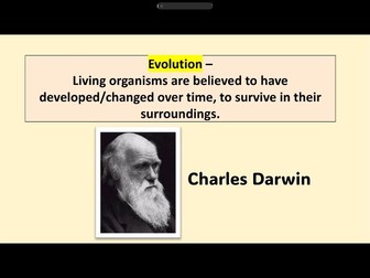 Did God cause Evolution?