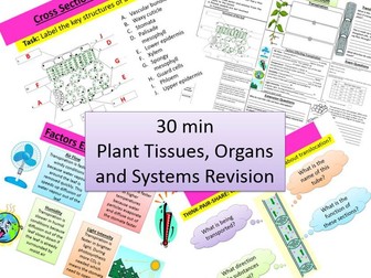 GCSE Bio- Plant organs, tissues and systems revision in 30 mins