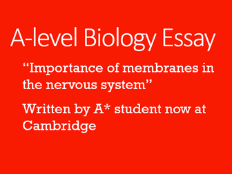 A-level Biology Essay by A* Student - Importance of membranes in nervous system