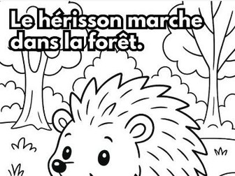 Coloriage des animaux d'hiver , printemps ks1