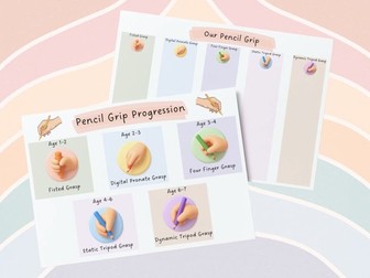 Display - Pencil Grip Poster & Recording Sheet