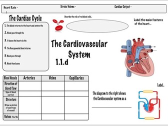 Cardiovascular System GCSE PE (OCR 1.1.d) Revision Sheet