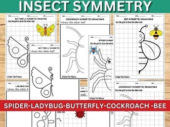 Insects Symmetry Drawing Activity- 2 Levels ,Ladybug,Spider,Cockroach..