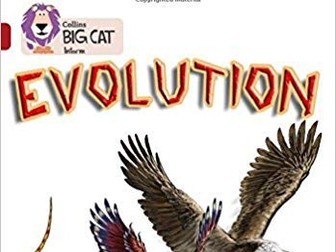 Evolution Workbook (Collins Big Cat Readers)