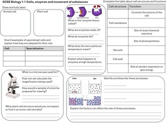 Year 10 biology revision place-mats