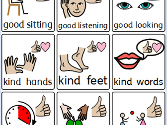 Behaviour for Learning Visuals (screen shot)