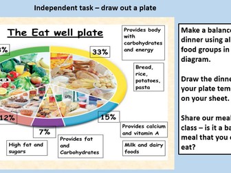 Body Organs and Balanced Diets
