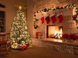 Christmas Bundle