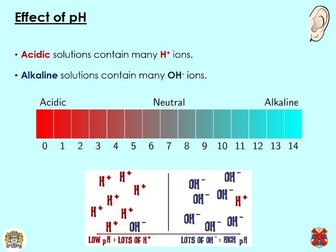 OCR A - Effect of temperature / pH on enzyme activity