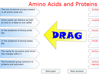 Amino Acids and Protein - Game
