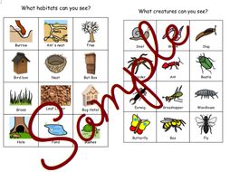 Nature Spotter Bundle
