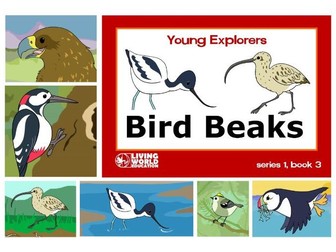 Bird Beaks ebook