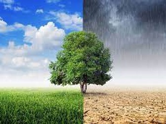 WJEC GCSE Theme 5: Weather & Climate - All Lessons