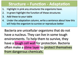 KS3 Cells & Organisation 14-15 Unicellular Organisms