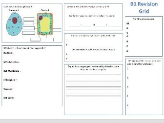 KS3 year 7 B1 cells revision grid worksheet