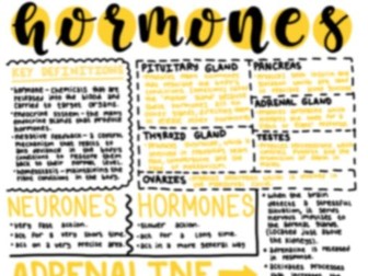 Hormones and Glands - Biology Summary/Cheat Sheet