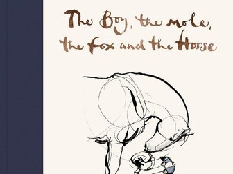 English/ literacy 3 week planning based on the book 'The Boy, the Mole, the Fox and the Horse'