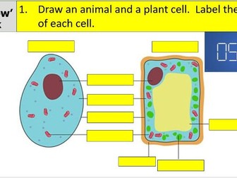 GCSE Biology Starter Questions