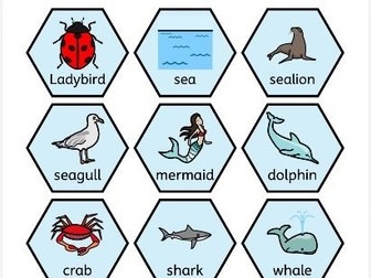 What the ladybird heard at the seaside by Julia Donaldson symbols