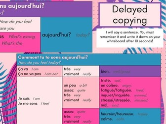 NEW GCSE French Pearson Edexcel Module 4.2 Bien dans ma peau