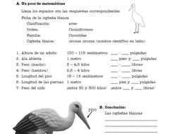 Ecology Bundle 1/ Thematic units SP Inter. 1 / Ordesa, Amazonas, Galápagos ++