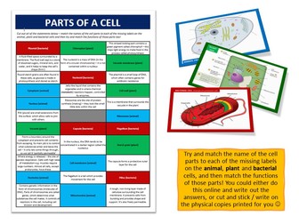 Cell Structure - A complete set of resources for Section 2B (Edexcel IGCSE Biology)