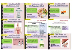 AQA new specification-B3 Organisation and the digestive system -Complete bundle