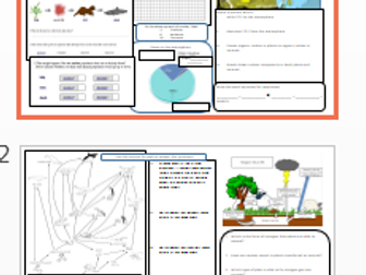 Food chains, food webs, carbon cycle, nitrogen cycle, ecology revision