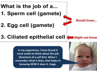 GCSE 9 - 1 Biology Key concepts - CB1c Specialised cells