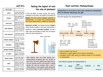 IGCSE Biology Cambridge: Plant nutrition/Photosynthesis