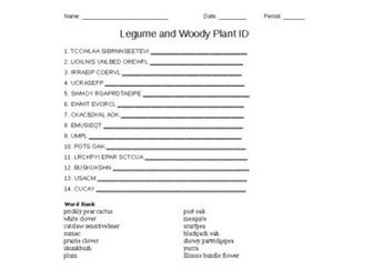 Legume and Woody Plants Word Scramble