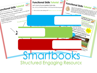 Functional Skills Tutorial - The Perfect Job