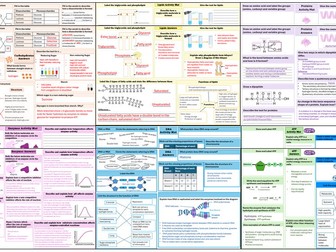 Biological Molecules Revision Mats with Answers (AQA A Level Biology)