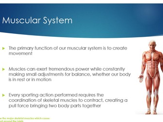 A-Level Musco-Skeletal System Unit of Work