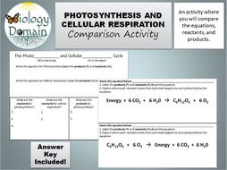 similarities between photosynthesis and cellular respiration