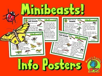 Minibeasts Posters
