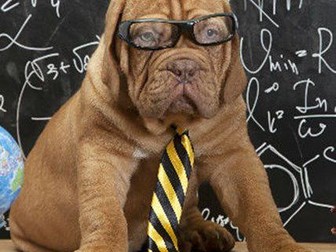 Geometry (A huge amount of resources!)