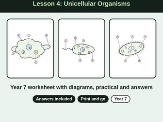 lesson 4 Unicellular Organisms Worksheet + Answers