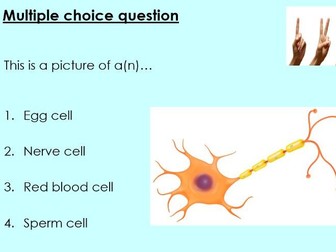 Y7 Activate - Specialised animal cells