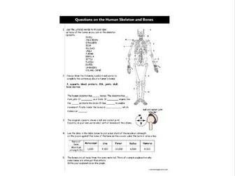 Questions on the Human Skeleton and Bones: KS3 worksheet