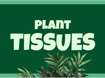 Plant tissues, organs and organ systems GCSE Biology Topic